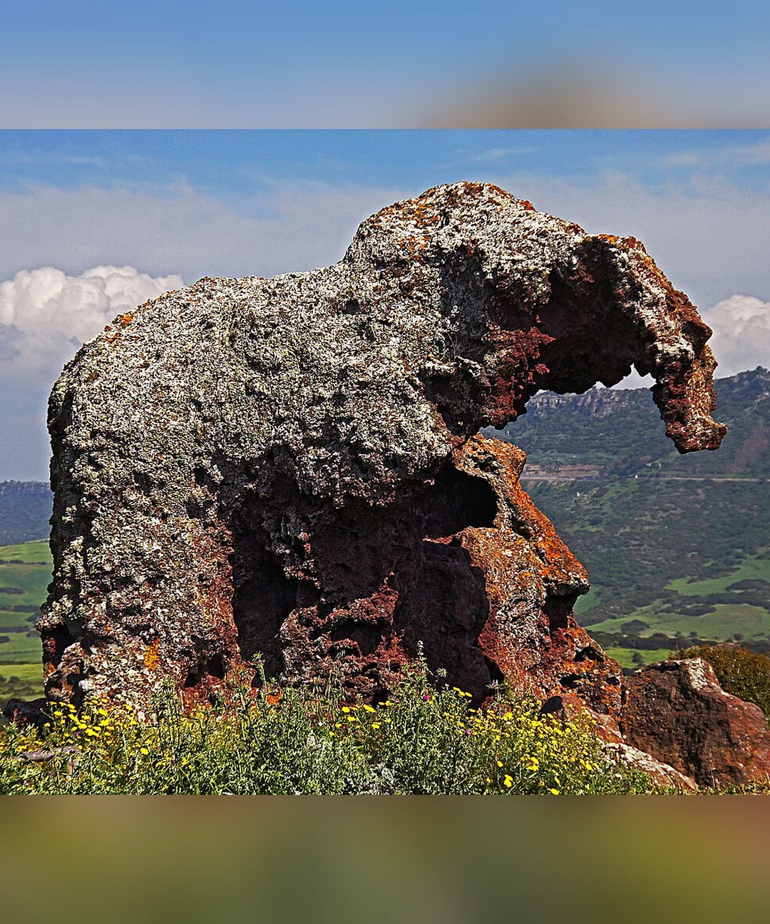 La Roccia dell'Elefante, il masso di trachite modellato dal vento a forma di elefante, a pochi minuti d'auto da Castelsardo